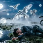 Dead Birds in Dream